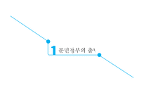 문민정부의 개혁과 14대 대선 및 15대 총선-3
