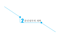 문민정부의 개혁과 14대 대선 및 15대 총선-6