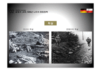 독일과 폴란드의 갈등의 역사 및 화합-14