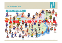중국 소수민족 분리 독립-3