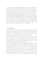 인도의 영화산업-볼리우드에 대하여-3