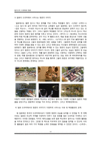 일본과 한국의 드라마 속 학교와 청춘의 이미지-12