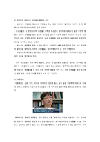 청소년의 성실태와 바람직한 성교육 방향-13