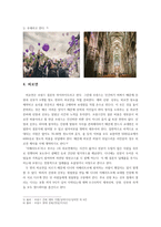 프랑스의 동거 문화-18