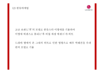 LG생활건강 기업 핵심역량과 SWOT분석및 LG생활건강 마케팅 4P와 사례분석및 향후나아갈방향 제시-LG생활건강 마케팅 PPT-17