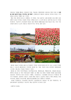[여행사경영] 태안 여행기획안-17