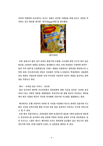 지속가능한 전략의 관점에서 피라미드 저변(BOP) 전략의 유용과 한계점-8