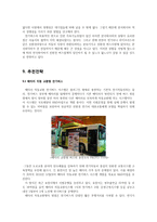 [환경마케팅] 한국 화이바 전략-12