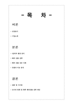 [글로벌마케팅] SM엔터테인먼트의 해외진출-2