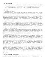 기업의 조직개편의 의미 -포스코 \`POSCO\`에 대한 사례 연구-10