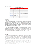 사우스웨스트항공사 조직분석-6