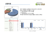 포천 운악산 오토 캠핑장 IMC 마케팅전략-4