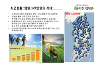 포천 운악산 오토 캠핑장 IMC 마케팅전략-5