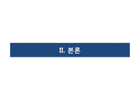 포천 운악산 오토 캠핑장 IMC 마케팅전략-6