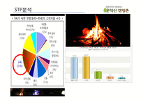 포천 운악산 오토 캠핑장 IMC 마케팅전략-16