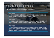 사우스웨스트 항공사 Southwest Airline의 조직구조-7