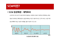 [경영정보원론] 롯데마트 SCM 사례연구-5