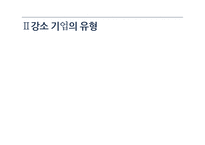강소기업의 특징-13