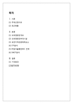 포천 & 오토캠핑장 IMC 마케팅전략-2