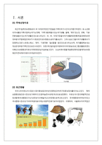포천 & 오토캠핑장 IMC 마케팅전략-3