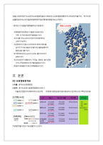 포천 & 오토캠핑장 IMC 마케팅전략-4