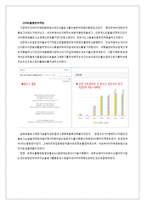포천 & 오토캠핑장 IMC 마케팅전략-17