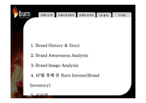 번인텐스의 국내시장 실패사례 분석 -브랜드 관리 측면에서-2