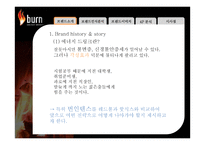 번인텐스의 국내시장 실패사례 분석 -브랜드 관리 측면에서-5