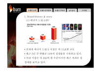 번인텐스의 국내시장 실패사례 분석 -브랜드 관리 측면에서-6