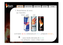 번인텐스의 국내시장 실패사례 분석 -브랜드 관리 측면에서-8