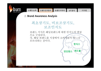 번인텐스의 국내시장 실패사례 분석 -브랜드 관리 측면에서-10