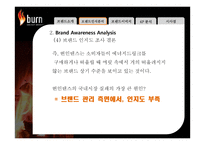 번인텐스의 국내시장 실패사례 분석 -브랜드 관리 측면에서-16