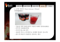 번인텐스의 국내시장 실패사례 분석 -브랜드 관리 측면에서-18