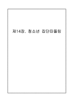 제14장. 청소년 집단따돌림-1