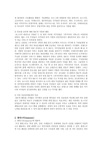 동유럽의 집시와 국제 난민 문제-10