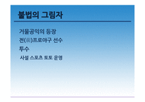 스포츠 도박 레포트-7