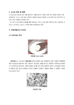 [발효식품학] 발효 소스-3