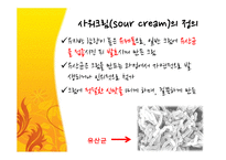 발효소스의 공정과 응 용-5