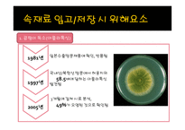 씨앗호떡 HACCP 레포트-11