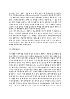 배우자학대 레포트-3
