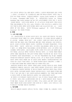 [기독교사상사] 토마스 아퀴나스-2
