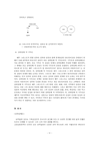 [기독교사상사] 기독론논쟁과 삼위일체논쟁-4