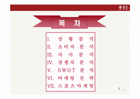 [듀오마케팅계획서] 듀오스포츠마케팅-2