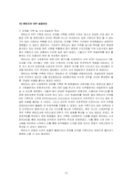 [경영정보시스템](주)만도 erp구축사례와 성공사례-19