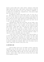 [마케팅] 스틸라(Stila)의 마케팅조사-7