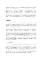 [마케팅] 스틸라(Stila)의 마케팅조사-10