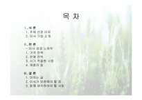[마케팅성공사례] 미샤의 성공전략-1