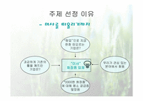 [마케팅성공사례] 미샤의 성공전략-2