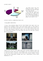 [마케팅조사] 휴대폰산업의 핵심가치와 주변가치-8