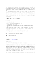 [도시행정]New York City-9